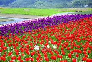 國家隊點名 余杭這個地方最新規劃來了