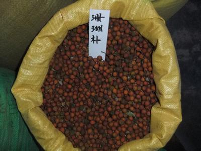 【咸陽市香椿種子價格】價格,廠家,其他種子、種苗-搜了網(wǎng)