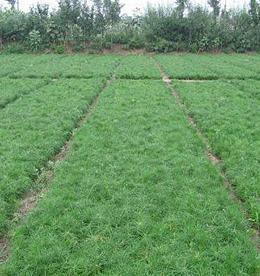 一呼百應(yīng)公司頻道