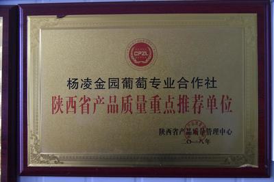 春耕生產看三秦|陳敏儒的&ldquo;育苗經&rdquo;