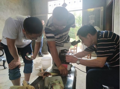 市老科協(xié)水產(chǎn)專家助力岳陽5萬畝鱸魚產(chǎn)業(yè)發(fā)展